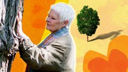 Dame Judi Dench placing her hand on a tree